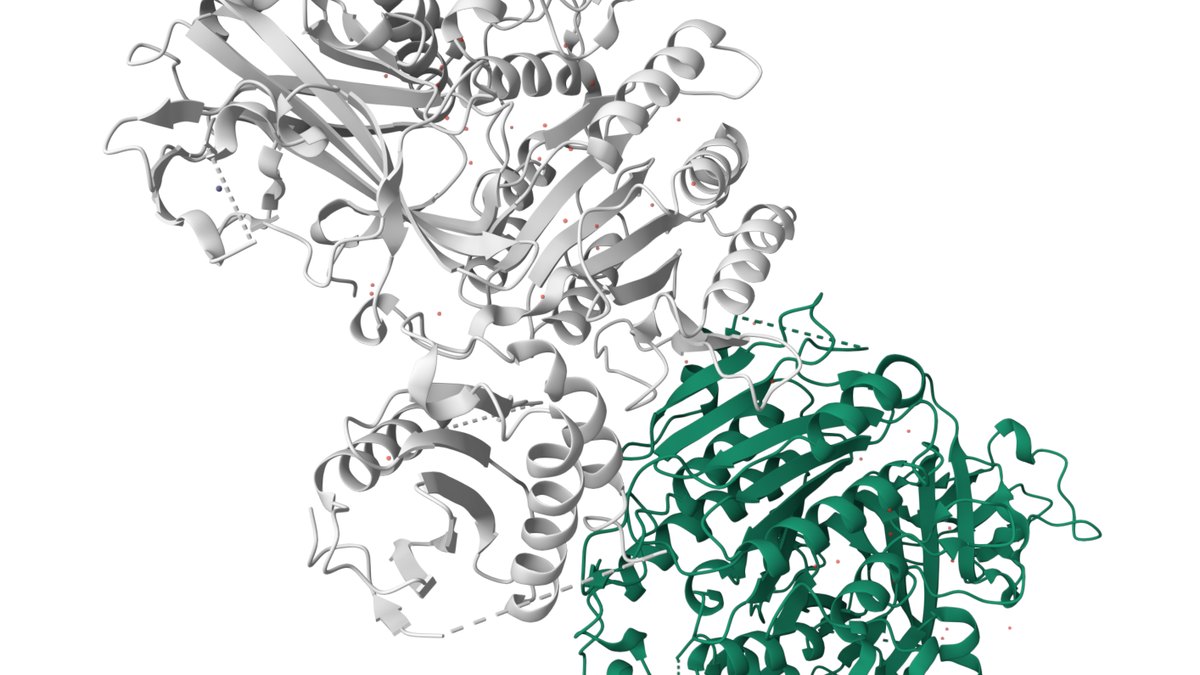 A folded protein rendered as a ribbon diagram — the three-dimensional output of alpha folding / AlphaFold structure prediction, a Panacea Bio Chem research sphere by Bogdan Dicoias